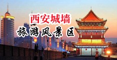 黄片美女操B中国陕西-西安城墙旅游风景区