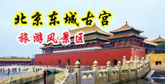 啊啊...好爽。...射进去～～视频中国北京-东城古宫旅游风景区